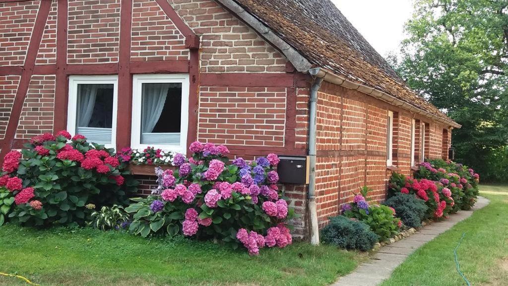 Von Wiegen, Ferienwohnungen Schneverdingen Zewnętrze zdjęcie